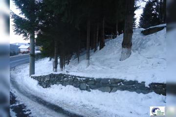DSC01907.JPG