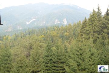 DSC_1212.JPG
