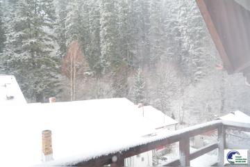 DSC_1890.JPG