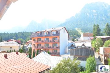 DSC_1937.JPG