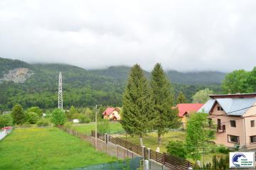 DSC_2102.JPG