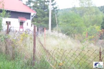 DSC_2329.JPG