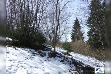 IMG-20210304-WA0004.jpg