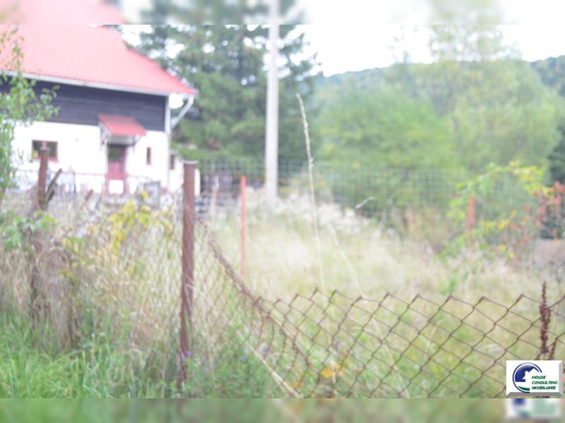 DSC_2329.JPG