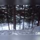 DSC01917.JPG