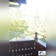 DSC_0585-Copie.JPG